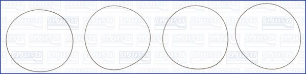 Wilmink Group WG1170203 O-rings for cylinder liners, kit WG1170203