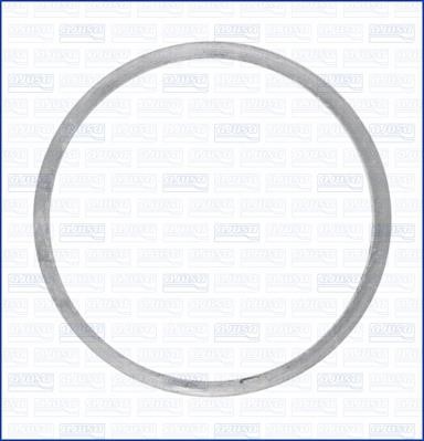 Wilmink Group WG1158544 Exhaust pipe gasket WG1158544