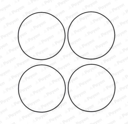 Wilmink Group WG1281752 O-rings for cylinder liners, kit WG1281752