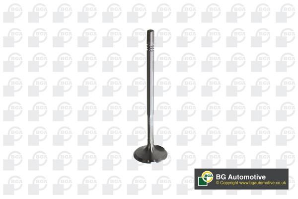 Wilmink Group WG1837681 Intake valve WG1837681