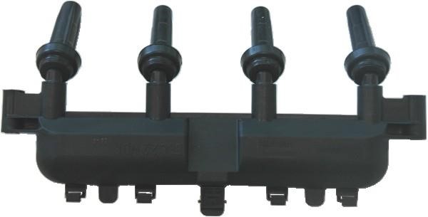 Wilmink Group WG1012155 Ignition coil WG1012155