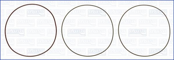 Wilmink Group WG1170259 O-rings for cylinder liners, kit WG1170259