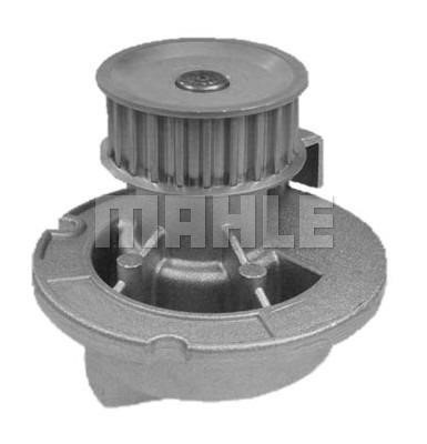 Wilmink Group WG2181388 Water pump WG2181388