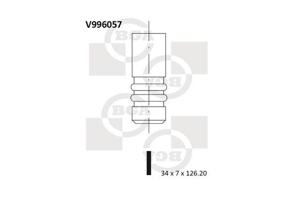 Wilmink Group WG1491690 Intake valve WG1491690