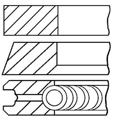 Wilmink Group WG1096521 Piston Ring Kit WG1096521