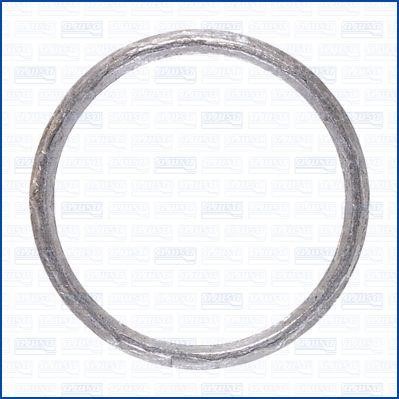 Wilmink Group WG2078545 Turbine gasket WG2078545