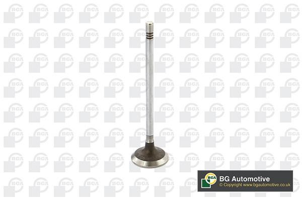 Wilmink Group WG1814457 Intake valve WG1814457