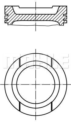 Wilmink Group WG1104446 Piston WG1104446