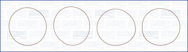 Wilmink Group WG1170186 O-rings for cylinder liners, kit WG1170186