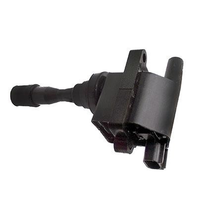 Wilmink Group WG1012487 Ignition coil WG1012487