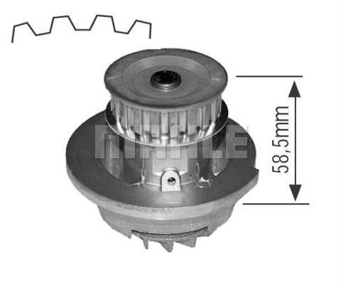 Wilmink Group WG2181578 Water pump WG2181578