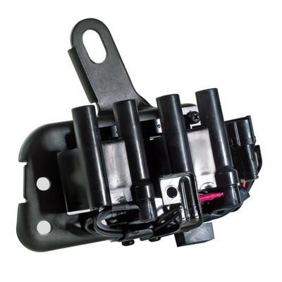 Wilmink Group WG1012228 Ignition coil WG1012228