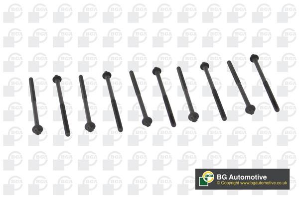 Wilmink Group WG1490293 Cylinder Head Bolts Kit WG1490293