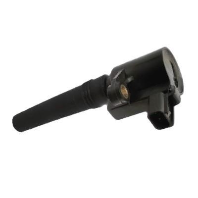 Wilmink Group WG1012503 Ignition coil WG1012503