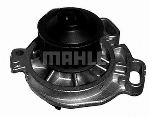 Wilmink Group WG2181361 Water pump WG2181361