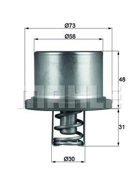 Wilmink Group WG1217545 Thermostat, coolant WG1217545