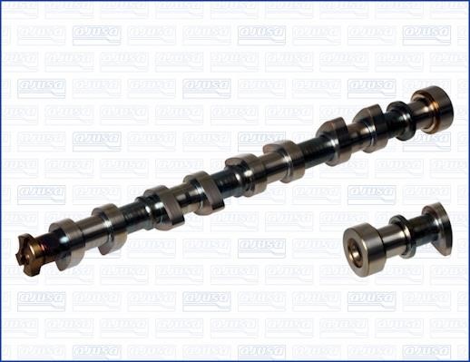 Wilmink Group WG1171189 Camshaft WG1171189