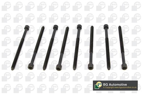 Wilmink Group WG1489949 Cylinder Head Bolts Kit WG1489949