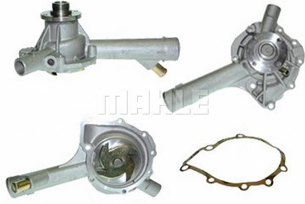 Wilmink Group WG2181596 Water pump WG2181596