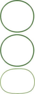Wilmink Group WG1706004 O-rings for cylinder liners, kit WG1706004