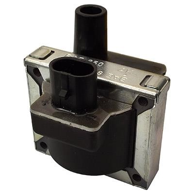 Wilmink Group WG1012507 Ignition coil WG1012507