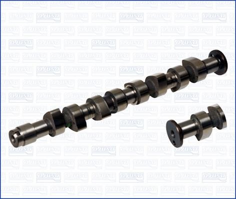 Wilmink Group WG1009707 Camshaft WG1009707