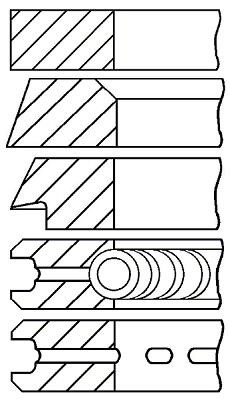 Wilmink Group WG1187147 Piston Ring Kit WG1187147