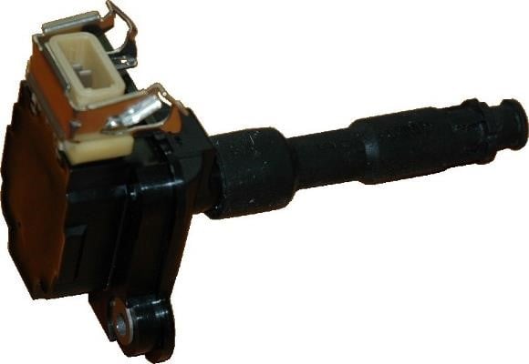 Wilmink Group WG1012173 Ignition coil WG1012173