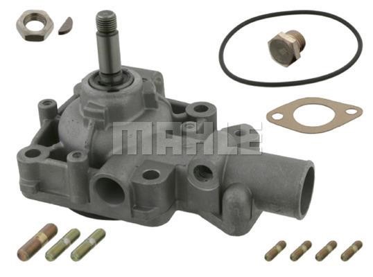 Wilmink Group WG2181898 Water pump WG2181898