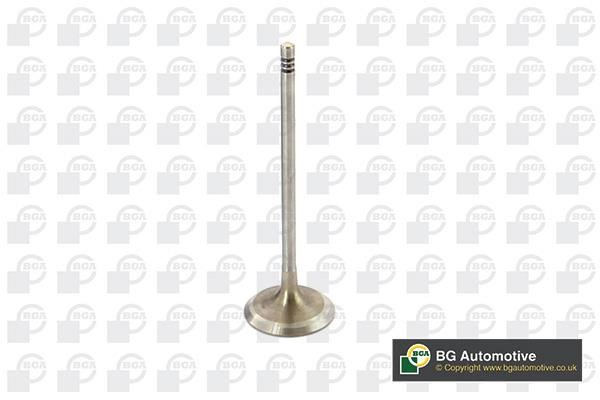 Wilmink Group WG1814438 Intake valve WG1814438