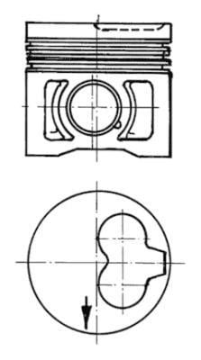 Wilmink Group WG1022250 Piston WG1022250