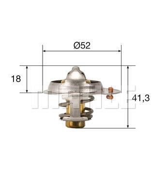 Wilmink Group WG1264900 Thermostat, coolant WG1264900