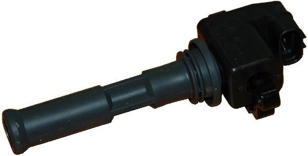 Wilmink Group WG1012165 Ignition coil WG1012165