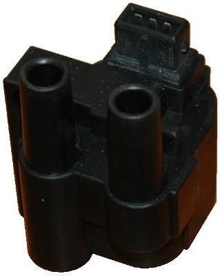 Wilmink Group WG1012176 Ignition coil WG1012176