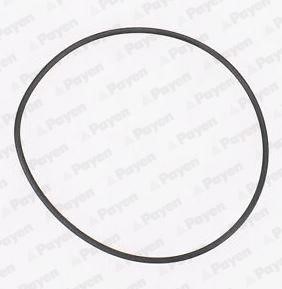 Wilmink Group WG1182883 Gasket, water pump WG1182883