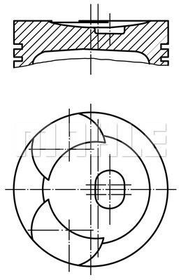 Wilmink Group WG1422727 Piston WG1422727