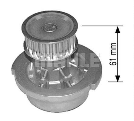 Wilmink Group WG2181291 Water pump WG2181291