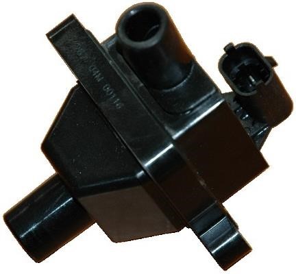 Wilmink Group WG1012207 Ignition coil WG1012207