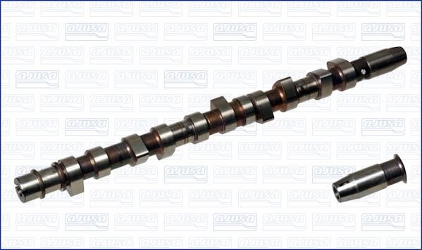 Wilmink Group WG1171024 Camshaft WG1171024