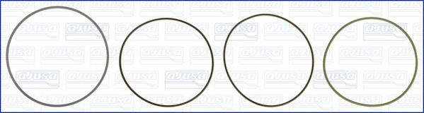 Wilmink Group WG1170254 O-rings for cylinder liners, kit WG1170254