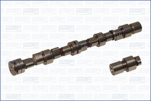 Wilmink Group WG1171151 Camshaft WG1171151