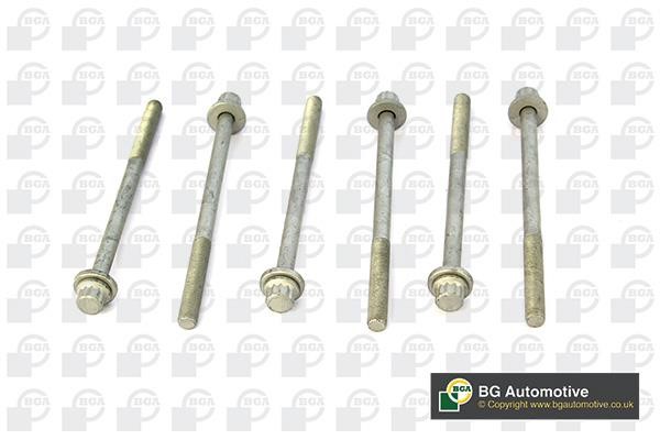 Wilmink Group WG1489987 Cylinder Head Bolts Kit WG1489987