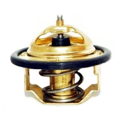 Wilmink Group WG1409196 Thermostat, coolant WG1409196