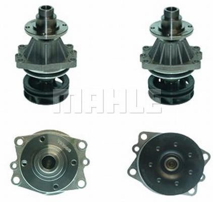 Wilmink Group WG2182081 Water pump WG2182081