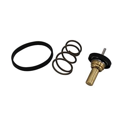 Wilmink Group WG2152216 Thermostat, coolant WG2152216