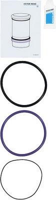 Wilmink Group WG1705982 O-rings for cylinder liners, kit WG1705982