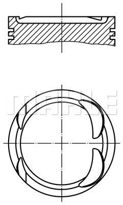 Wilmink Group WG1807294 Piston WG1807294