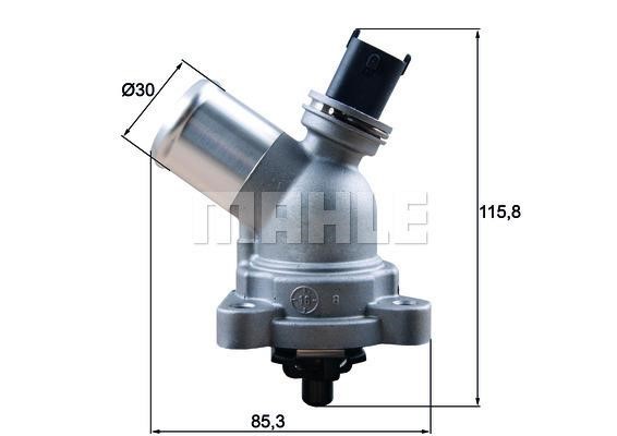 Wilmink Group WG1789650 Thermostat, coolant WG1789650