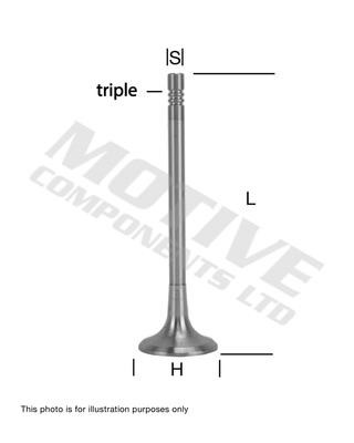Motive Components IV10007 Intake valve IV10007