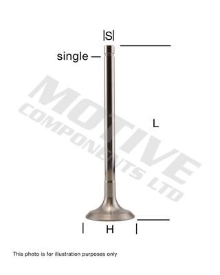 Motive Components IV8206 Intake valve IV8206